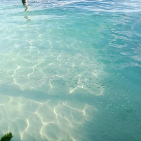 Hidden Island Glamping Isla Mujeres Hotel Exterior foto