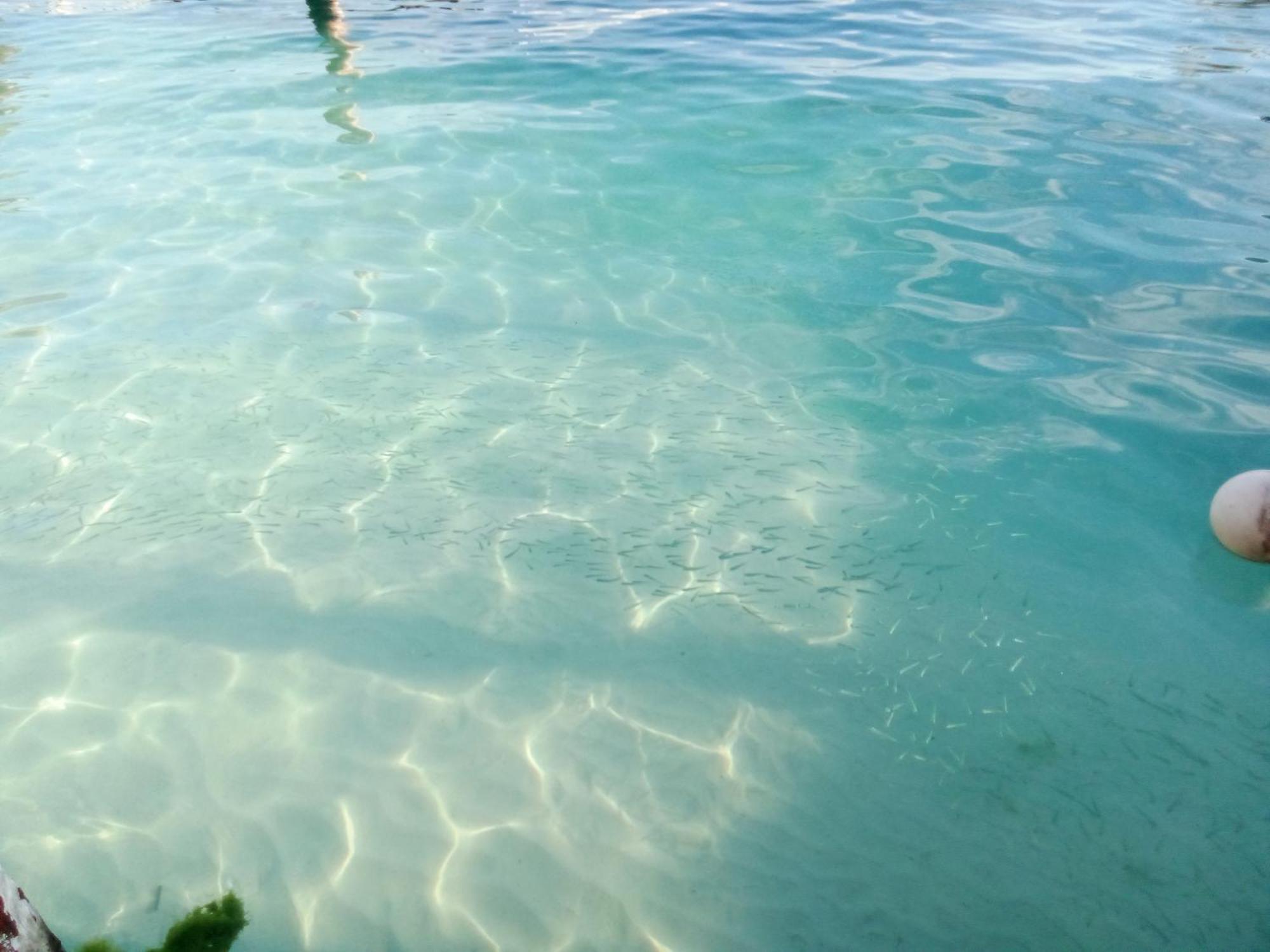 Hidden Island Glamping Isla Mujeres Hotel Exterior foto